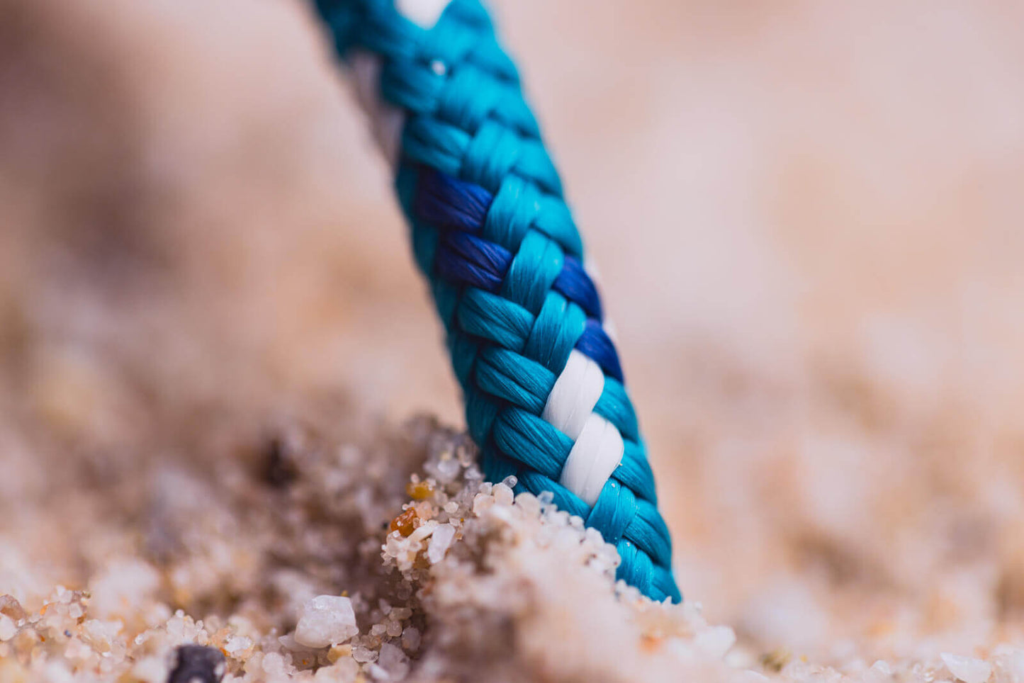 Crab Arielle Turquoise Ocean Blue